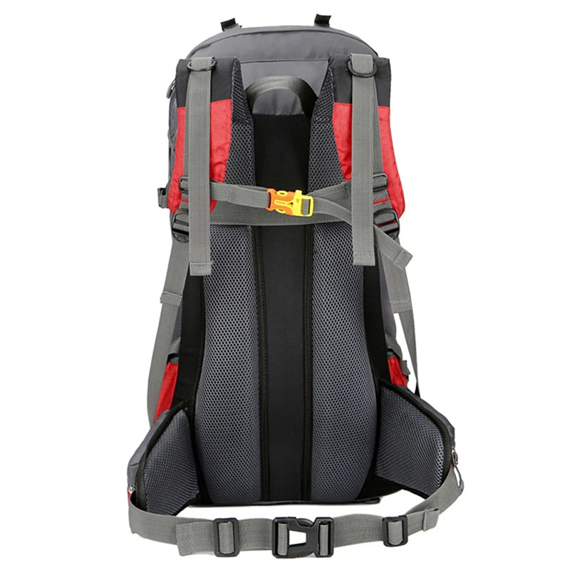 Pink large hiking backpack