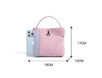 Amblot Small suede purse with clasp